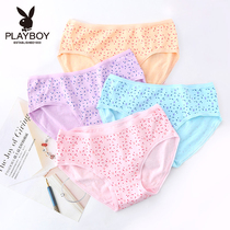 YS20 Playboy ladies underwear cotton summer girl student print triangle shorts women comfortable