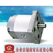 HGP-3A-F-6-L-X-2B-10 Li Sheng gear pump Taiwan Xinhong gear pump type
