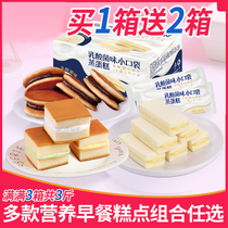 Lactic acid bacteria flavor small pocket bread Whole box cake Point lazy breakfast Hunger snack snack Snack Snack