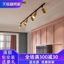 Nordic brass track spotlight Light luxury LED Modern simple living room Dining room cloakroom TV background wall light