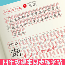 Primary school students in the fourth grade second volume practice copybook Chinese characters Red copy practice character book pencil pen writing copybook department editor edition first volume Chinese synchronous practice copybook 2020 new autumn use 4