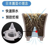 Orchid anti-rot root tool Bonsai flower pot mat Flower plate bottom mat Breathable drainage fleshy tapered pot bottom mat mesh