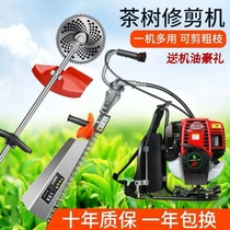 Tea tree trimmer knapsack four-stroke tea picker Tea Cutter gasoline hedge machine tea trimmer Tea Cutter Tea Cutter
