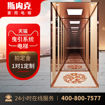 Sneck home elevator Indoor small duplex two or three floors of stairs Guide rail sightseeing hydraulic elevator