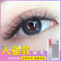 Cuiud0 07 Shake sound net red mermaid hair self grafting eyelashes super soft thick natural 240 fish tail