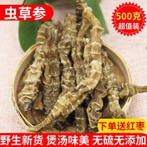 Caterpillar fungus ginseng dried Chinese herbal medicine Yunnan ground ginseng 500g ground caterpillar fungus bamboo festival ginseng Zelangen earthworm vegetable soup stock without sulphur