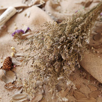 Lover Grass Dried Flower Living Room Dining Room Restaurant Floral Flower Arrangement Accessories Fields Garden Home Decoration Flowers Diy Placed Bouquet