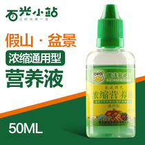  Concentrated nutrient solution Fertilizer hydroponic flower bowl lotus Fugui bamboo Guanyin bamboo narcissus water-soluble fertilizer special nutrient solution