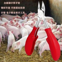 Piglet stainless steel tooth cutting forceps rabbit tooth cutting forceps for animal pig piglet tooth scissors breeding equipment equipment