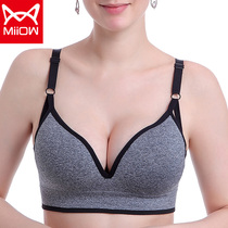 Cat lingerie Womens Small breasts gather together to prevent sagging on the top of the big summer thin sexy without steel ring bra