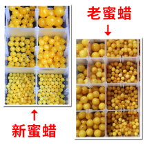 Sihuannian natural amber beeswax loose beads 4-20mm round beads single beads Chanterelle yellow old beeswax beads with beads tee