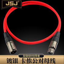JSJ D805 Golden Triangle silver-plated Canon male-to-busbar XLR head line Microphone mixer line Microphone line