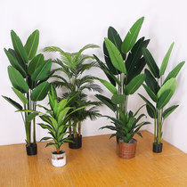 Nordic traveler focus Simulation tree Living room interior decoration Floor-to-ceiling bonsai potted simulation plant Turtle bird of paradise