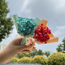 Mini-living flower Dry flower gift do not forget my star bouquet festival gift to put props on board
