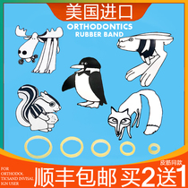 Orthodontic rubber band Rubber ring Orthodontic rubber band Orthodontic rubber chain Hidden orthodontic beauty braces Leather ring Fox rabbit