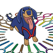 A special shot of the deposit and postage price difference