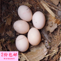Chongqing Shichu local specialty farmers natural rural free-range fresh original ecological eggs 10