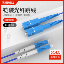 Tanghu 3 m LC-SC anti-rat armored optical fiber jumper single-mode double core pigtail custom length connector telecom grade (single-mode double core)