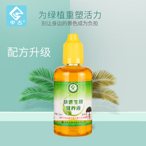 Medieval rapid rooting liquid Flower cuttings Big tree root Liquid Powder Universal plant rooting water nutrient solution