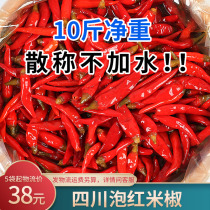Sichuan Special Bubble Chili water without water Bubble Red Rice Pepper with no water 5 kg bagged Sichuan Dragon Laotan Bubble Sea Pepper