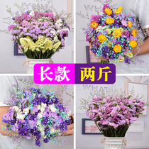 Yunnan dried flowers real flowers starry small bouquets living room furnishings dried flowers bouquets home decoration ornaments forget-me-not