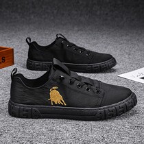 Summer skate shoes mens breathable black canvas shoes mens non-slip chefs work peas shoes slip-on flat mens shoes