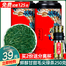 Green tea Mao Jian Tea 2022 New Tea Rain Before Tea Cloud Mist Bulk Strong Aroma Type Green Tea 250 gr jar