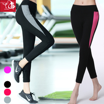 Clearance sale female Korean spring summer yoga clothing fitness practice running pants tight slim high-play dance long pants