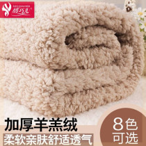 Soft pullover short plush cloth cloth cloth Lamb hair Hanfu double-sided velvet fabric fleece blanket