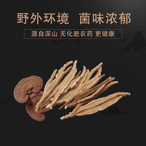  Changbai Mountain Red Ganoderma lucidum slices off canned Northeast specialty Nyingchi Ganoderma lucidum slices 60g brewing wine tonic health tea