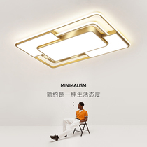 Living room lamp 2020 new simple modern Nordic luxury hall ceiling lamp creative bedroom lighting package