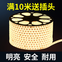 Lamp with three color turn light LED light with living room ceiling 7 color discoloration outdoor super bright waterproof strip line lamp