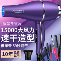 High power electric hair dryer Home negative ion hair care anti-manic 3000w hair salon hair dryer cylinder hairdressshop special