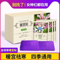 Hengtai motherwort warm palace stickers Female palace cold conditioning self-heating cold-proof warm body stickers Hot stickers Warm stickers Baby stickers