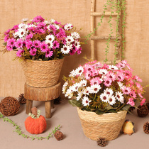 Emulated daisy floral bouquet false floral chamomile floral bedroom decorative dining table furnishing photographic props sun flower dried flowers