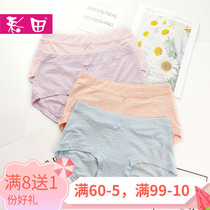 Colour field briefs Womens 3 4 bicolor yarn Modale fabric with waist flat angle soft and breathable fresh stripes