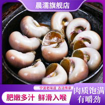 Morning drunken snail fresh live instant drunken snail meat snail meat drunk Jade snail Ningbo Zhoushan specialty seafood snacks aquatic products