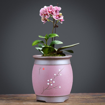 Flower Pot Purple Sand Coarse Pottery breathable Home Green Roof Butterfly Special Junko Lana Flower creative personality Multi-broccoli basin