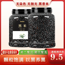 Northeast authentic black rice fragrant rice five grains purple rice glutinous rice porridge Heilongjiang farmhouse rice wholesale five constants