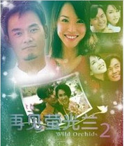 DVD version Goodbye Fluorescent Orchid Goodbye Fluorescent Orchid] Fan Wenfang Wang Yu Tailor 20 episodes 2 discs