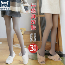 Cat Human Silk Socks Female Spring Autumn Light Legs God Instrumental Air Hostess Grey Body Seamless Overt Pants High Bounce Not Tucked Pantyhose Socks