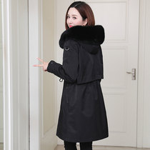 zqqz Parker coat womens long 2021 new fox fur collar Rex rabbit hair liner fur coat D386