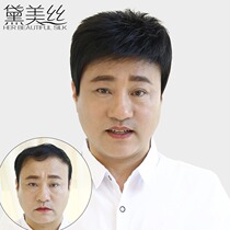 Deimese wig male hair hair and hair Korean handsome man middle-aged old man hair naturally fluffy wig male head