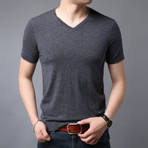 Spring and Autumn Short T - shirt Men Sweater 2023 New Knitted V - collar half - sleeve jersey