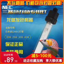NEC lamp diving Arowana lamp waterproof 6700k30 three primary color fish tank lamp for aquarium golden Arowana color enhancement