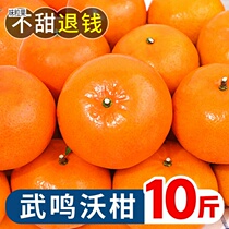 Guangxi wuming Voorangs 10 catty of fresh fruit When season the whole box Emperor sand molasses orange orange orange orange tangerine orange