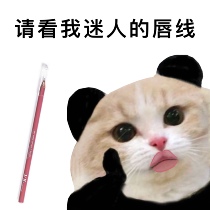 South Korea Pony recommends J X JX lip liner neutral peach nude long-lasting natural grooming lips