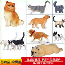 Simulation pet cat toy animal model Persian cat Bulldog golden retriever dog childrens collection gifts
