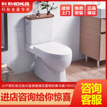 Kohler toilet five-stage cyclone siphon toilet 3998T 18643T 5331T5706T