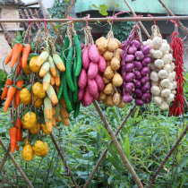 Simulation fruit string vegetable string model fake corn garlic pepper fruit and vegetable pendant farmhouse decoration shooting props